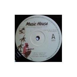 Frankie Wilmott - I won't Give up 12''