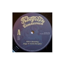 Ziggy & Earth Disciples - Who's Running 10''