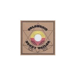 Bunny Wailer - Bide Up / Bunny Wailer, Big Youth - Bide