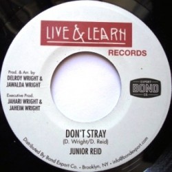 Junior Reid - Don't Stray 7''