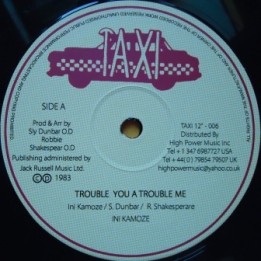 Ini Kamoze - Trouble you a Trouble me 12''