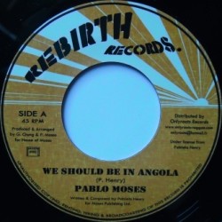 Pablo Moses - We Should be...
