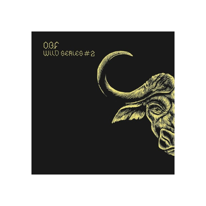 Shanti D - Get High / Troy Berkley - Babylon 12''