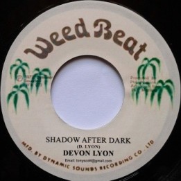 Devon Lyon - Shadow after Dark 7''