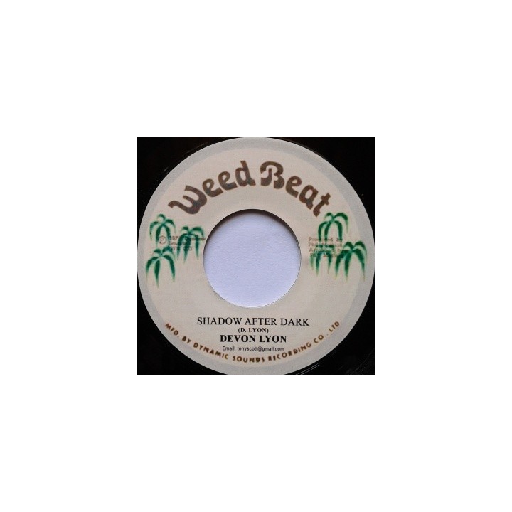 Devon Lyon - Shadow after Dark 7''