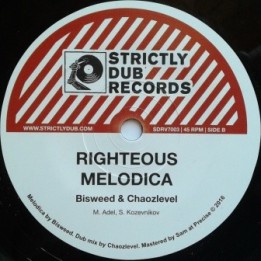 Earl Sixteen - Righteous Groove 7''