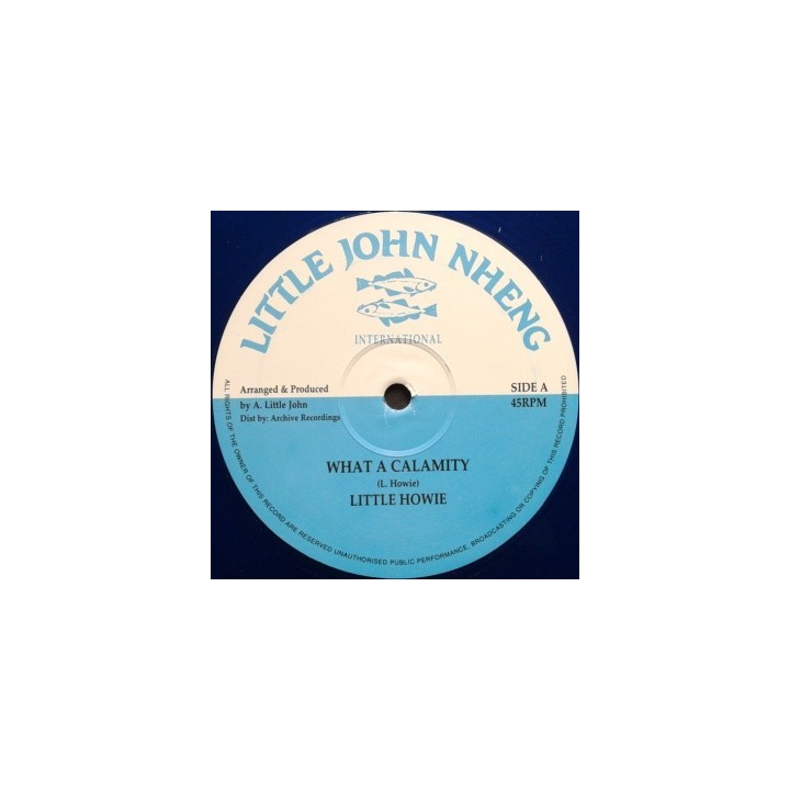 Little Howie - What a Calamity 12''