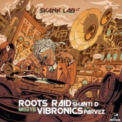 Skank Lab 7 Roots Raid...