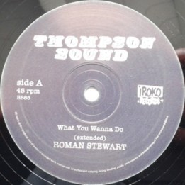 Roman Stewart - What you Wanna Do 12''