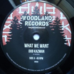 Dub Kazman - What we Want 7"