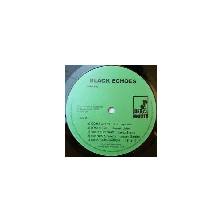 VA - Black Echoes LP