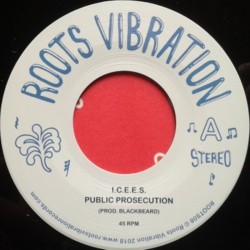 I.C.E.E.S. - Public...