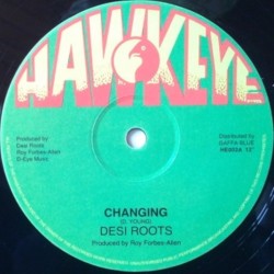 Desi Roots - Changing 12"