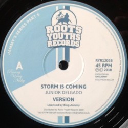 Junior Delgado - Storm is...