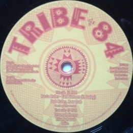 Earl Sixteen - Rasta Rules 12"