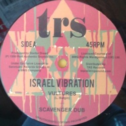 Israel Vibration - Vultures...