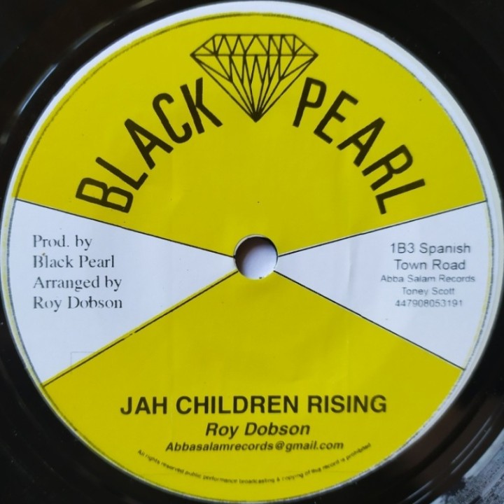 Roy Dobson - Jah Children Rising 7"