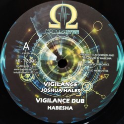 Joshua Hales - Vigilance 12"