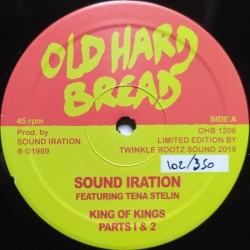Sound Iration Ft. Tena...