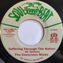 The Conscious Minds ‎– Suffering Through The Nation 7"