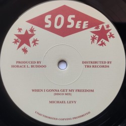 Michael Levy - When I Gonna Get My Freedom 12"