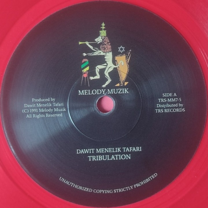 Dawit Menelik Tafari - Tribulation 7"