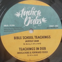 Murray Man - Bible School Teachings 10"