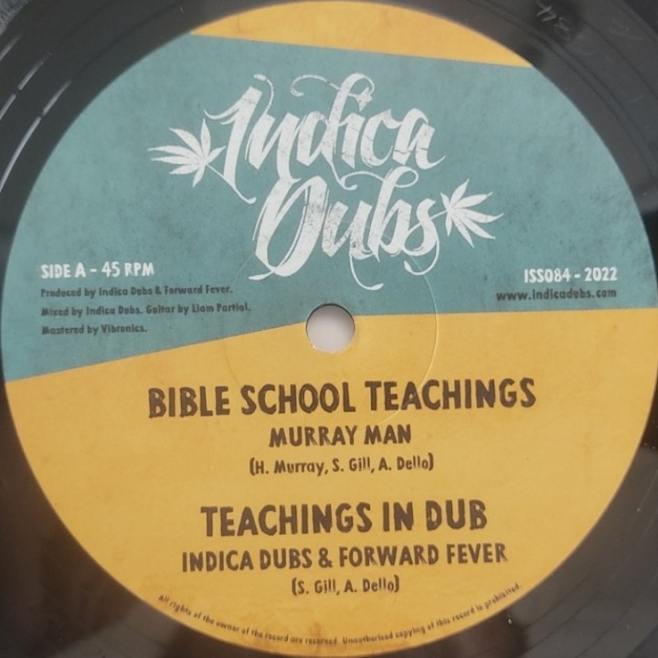 Murray Man - Bible School Teachings 10"