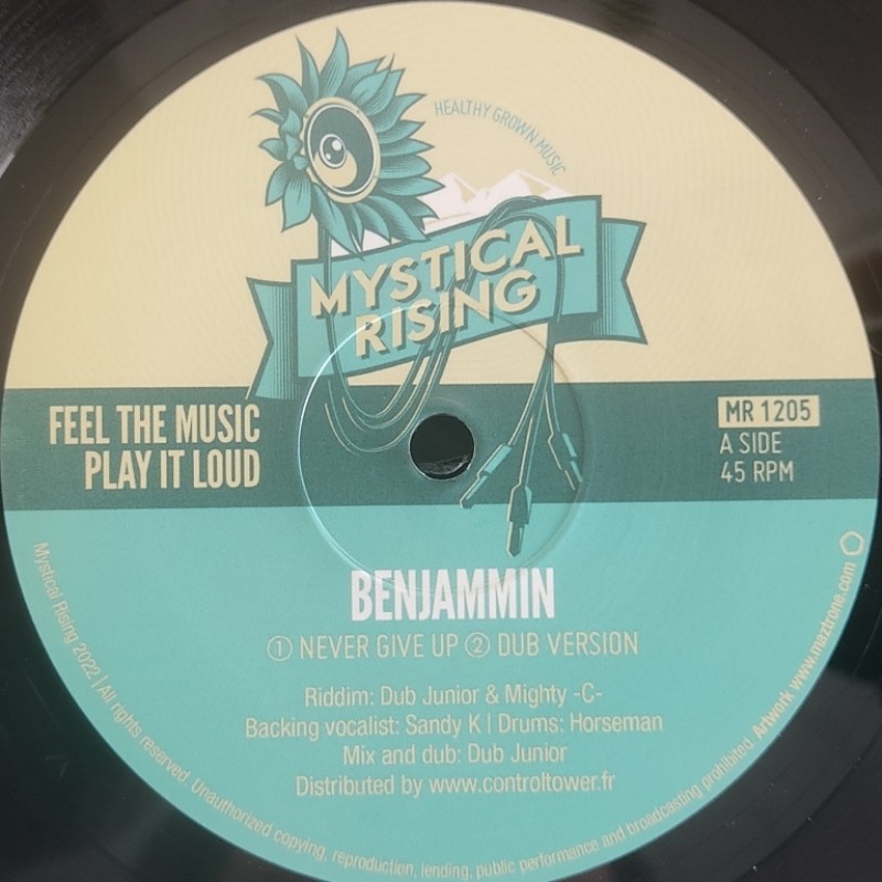 Benjammin - Never Give Up 12"