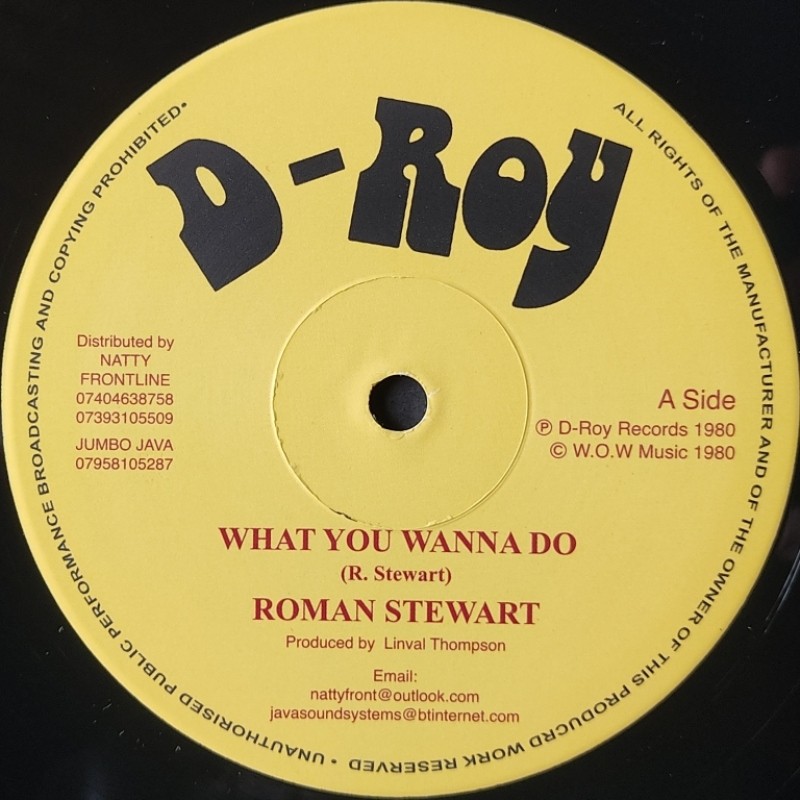 Roman Stewart - What You Wanna Do 12"