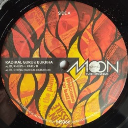 Parly B - Burning 12"