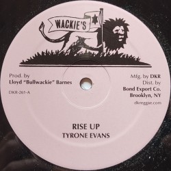 Tyrone Evans - Rise Up 12"