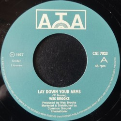 Wes Brooks - Lay Down Your...