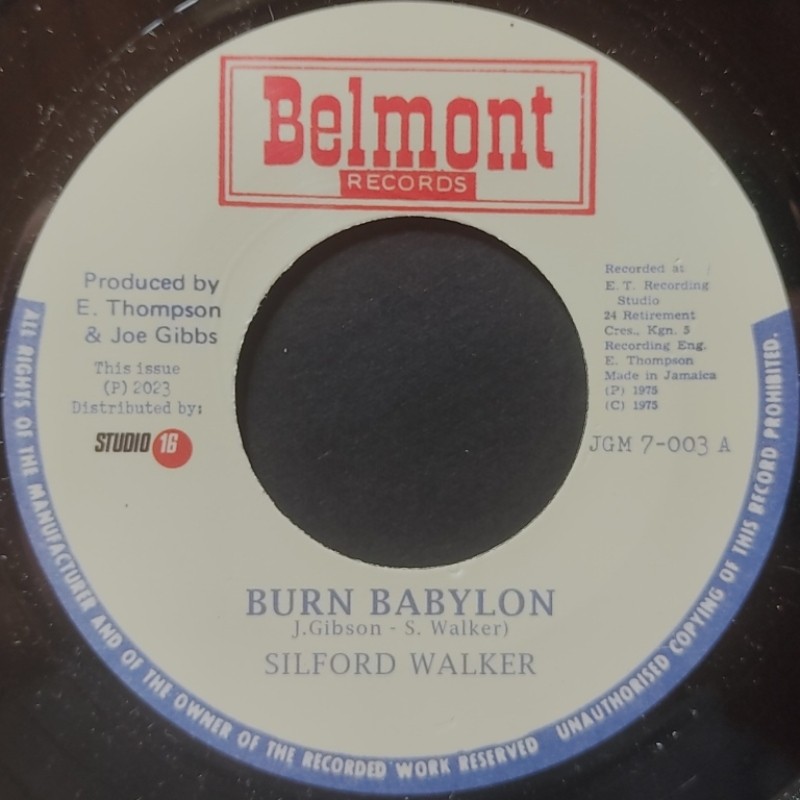 Sylford Walker - Burn Babylon 7"