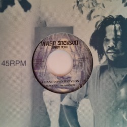 Yabby You & The Prophets - Chant Down Babylon 7"