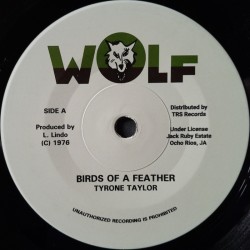 Tyrone Taylor - Birds Of One Feather 7"