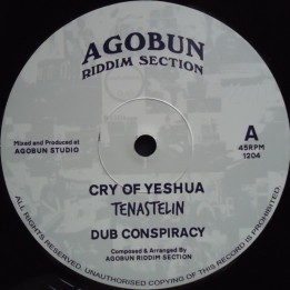 Tena Stelin - Cry Of Yeshua / Digital World 12"