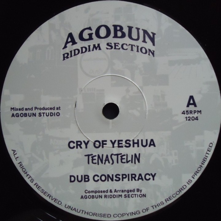 Tena Stelin - Cry Of Yeshua / Digital World 12"