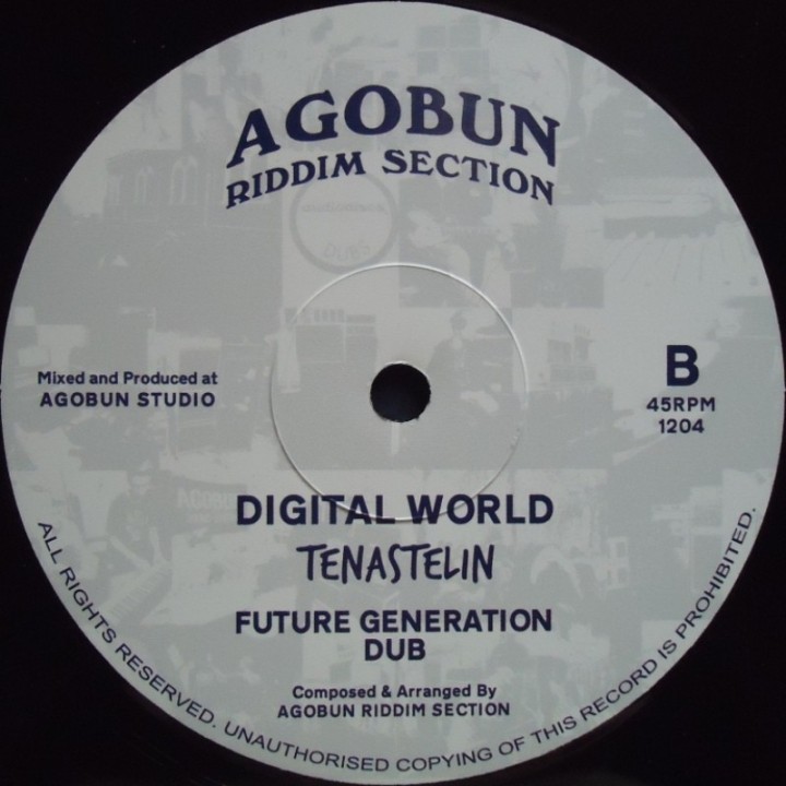 Tena Stelin - Cry Of Yeshua / Digital World 12"