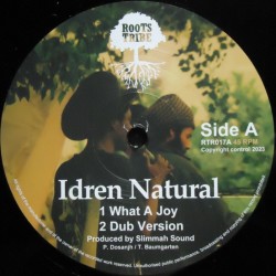 Idren Natural - What A Joy 12"