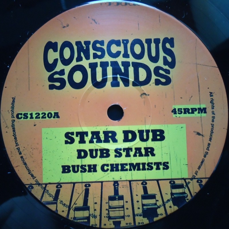 Bush Chemists - Star Dub / Rapha Pico - Change Must Come 12"