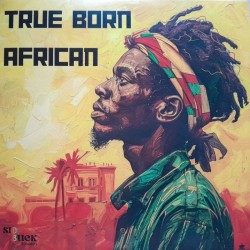 T-Man & The T-Bones - True Born African 7"