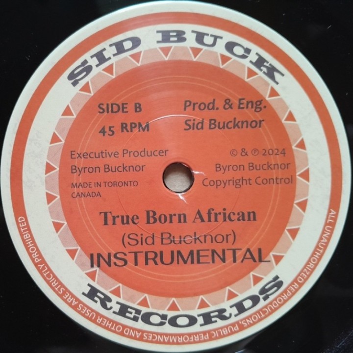 T-Man & The T-Bones - True Born African 7"