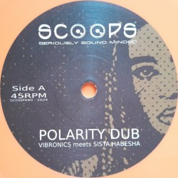 Vibronics Meets Sista Habesha - Polarity Dub 7"