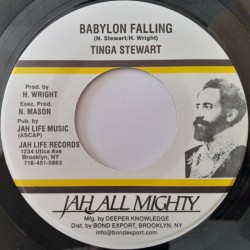 Tinga Stewart - Babylon Falling 7''