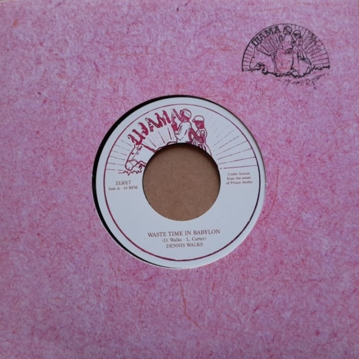 Dennis Walks - Waste Time In Babylon 7"