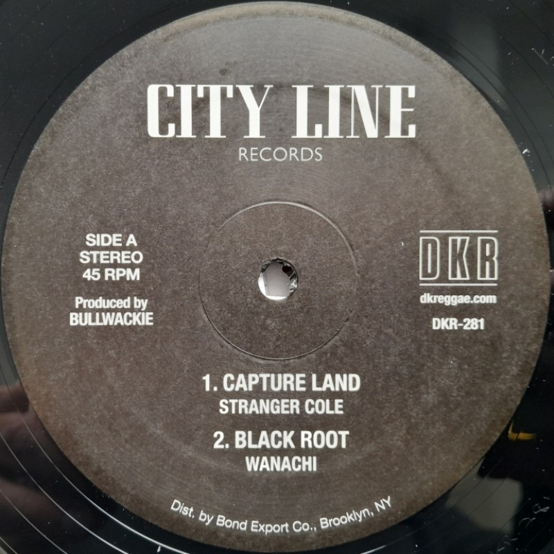 Stranger Cole - Capture Land 12"