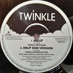 Twinkle Brothers - Help / I Will Hurt You 12"