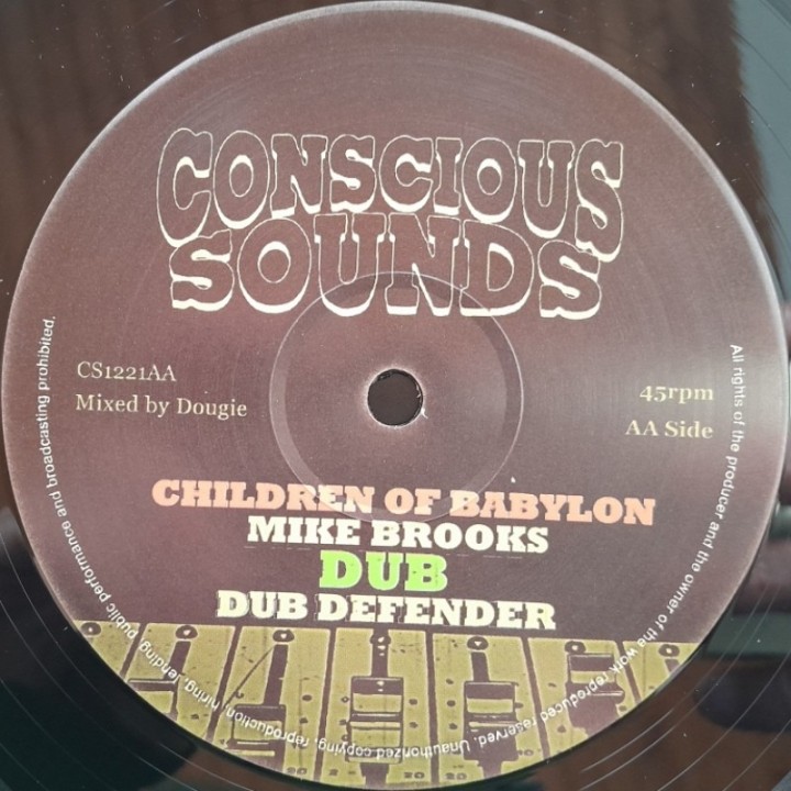 Idren Reality - Twighlight Skank / Mike Brooks - Children Of Babylon 12"