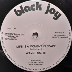 Wayne Smith - Life Is A Moment In Space 12"